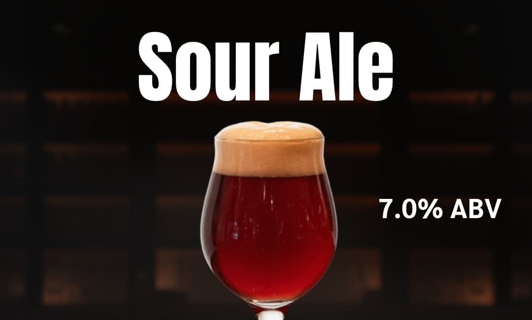 SOUR ALE beer glass